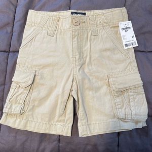 2 pack Boys shorts 2T